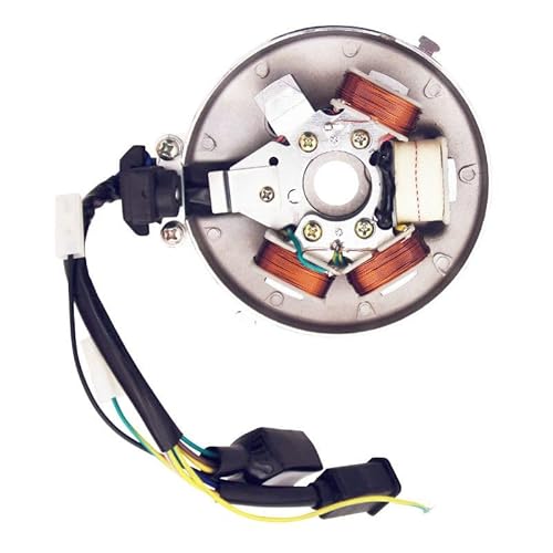 cyclingcolors Zündstator kompatibel mit Peugeot 12V mit Platinsensor Motorrad Roller Moped cyclingcolors Zündstator kompatibel mit Peugeot 12V mit Platinsensor Motorrad Roller Moped von cyclingcolors