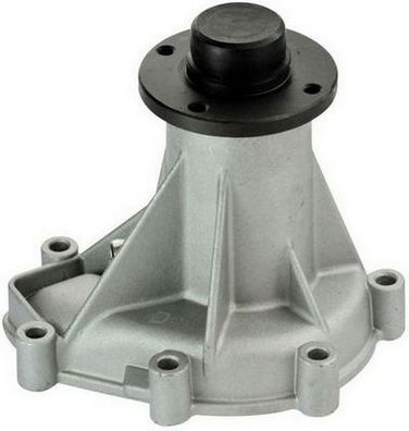 Wasserpumpe, Motorkühlung denckermann A310216P von denckermann