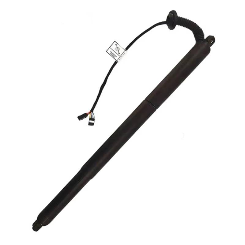 eglci Kompatibel Mit Buick Für GL8 2017 2018 2019 Elektrische Gasdruckfeder Für Anheben Der Heckklappe des Autos OEM: 26205647 Heckklappe von eglci