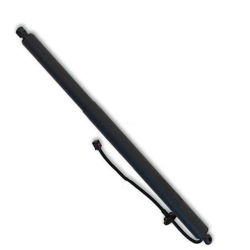 eglci Kompatibel Mit G05 X5 2019 2020 2021 Auto Hinten Elektrische Heckklappe Hebe Unterstützung OME:51249482800 Heckklappe von eglci