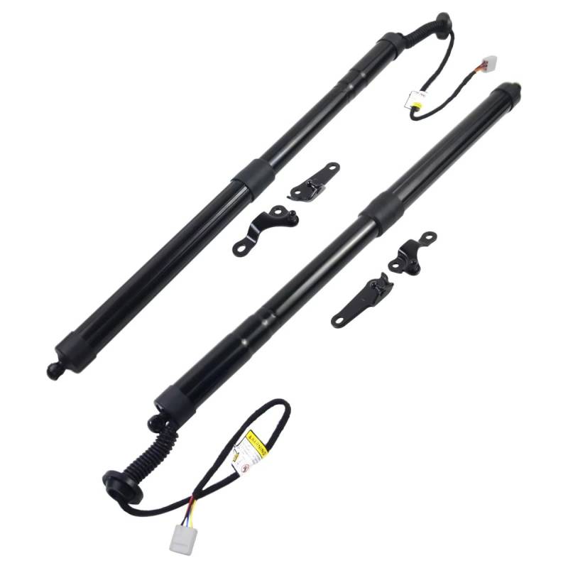 eglci Kompatibel Mit Lexus Für NX 200t Base 2015 2016 2017 2018 2019 2020 Elektrische Gasdruckfeder Für Anheben Der Heckklappe des Autos OEM: 6892079016 6891079016 Heckklappe von eglci