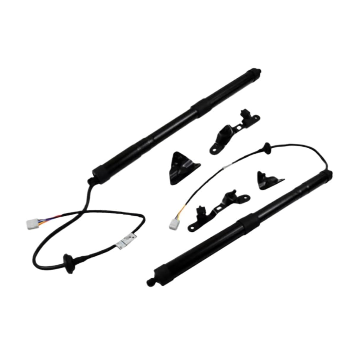 eglci Kompatibel Mit Toyota Für Rav4 2013 2014 2015 2016 Elektrische Heckklappen-Gasfeder OEM: 6892009010 689100901 Heckklappe eglci Kompatibel Mit Toyota Für Rav4 2013 2014 2015 2016 Elektrische Heckklappen-Gasfeder OEM: 6892009010 689100901 Heckklappe von eglci