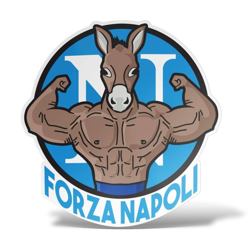 erreinge Aufkleber Forza Napoli Ultras Fußballfan Shaped Adhesive PVC für Abziehbild Tapete Auto Moto Helm Camper Laptop - 10 cm von erreinge