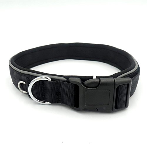 erthome Einstellbare Nylon reflektierende Hundehalsband Classic Pet Dog Halskette (M (40-47cm), Schwarz) von erthome