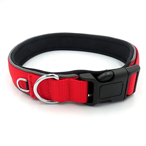 erthome Einstellbare Nylon reflektierende Hundehalsband Classic Pet Dog Halskette (S (28-33cm), Rot) von erthome