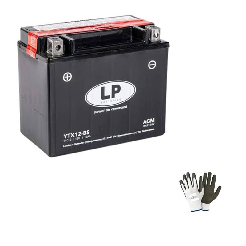 KOMPATIBEL MIT Piaggio MP3 Yourban LT RL E4 (TA0100) 300 2017 A 2018 LP-Batterie YTX12-BS VERSIEGELTE 12V/10A-FÜR Motorrad-Roller,BEREITS BEREIT FÜR DEN DIY-Gebrauch 150X87X130MM von farbrothersonline