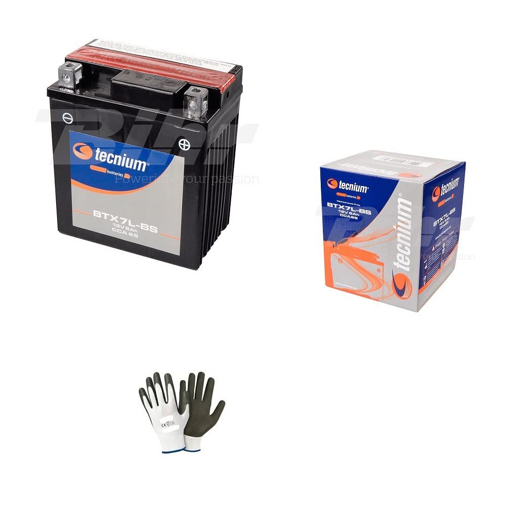Kompatibel mit Honda 125 VT Shadow 2002 Batterie bereits gebrauchsfertig Technisch YTX7L-BS Batterien 6 Ampere 12 Volt spezifisch für Motorroller 113 x 70 x 130 Kompatibel mit Honda 125 VT Shadow 2002 Batterie bereits gebrauchsfertig Technisch YTX7L-BS Batterien 6 Ampere 12 Volt spezifisch für Motorroller 113 x 70 x 130 von farbrothersonline