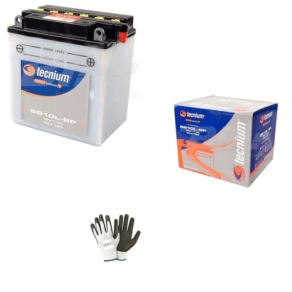 Kompatibel mit Piaggio 125 X8 Premium 2006 Batterie bereits gebrauchsfertig Technisch YB10L-BP Batterien 11 Ampere spezifisch für Motorroller 135 x 90 x 145 Kompatibel mit Piaggio 125 X8 Premium 2006 Batterie bereits gebrauchsfertig Technisch YB10L-BP Batterien 11 Ampere spezifisch für Motorroller 135 x 90 x 145 von farbrothersonline