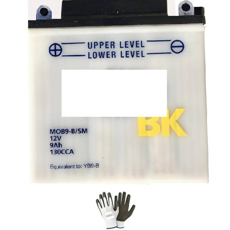 KOMPATIBEL MIT P IAGGIO Beverly RST/RST E3/MIC (M28400/M28900) 125 2004 A 2006 YB9-B S/M AGNETI ARELLI Batterie BEREIT, KOMPLETT ZUR Montage AM Motorrad 9 AH AMP 12V 135X75X139MM von farbrothersonline