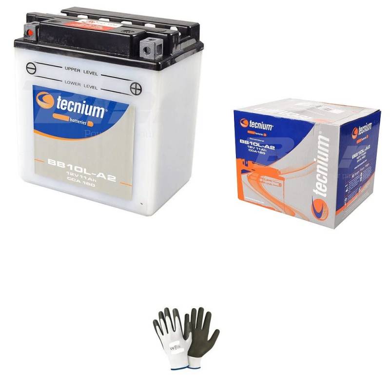 farbrothersonline Kompatibel mit Yamaha 125 XV Virago 1998 Batterie bereits gebrauchsfertig YB10L-A2 12 V 11,0 Ah Batterien 11 Ampere 12 Volt spezifisch Motorrad Scooter 135 x 90 x 145 mm von farbrothersonline