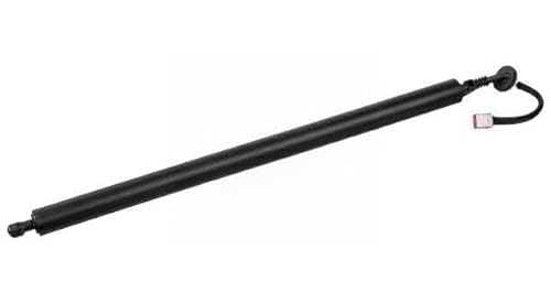 Febi Bilstein 179297 Gasdruckfeder Für Heckklappe, Mit Integriertem Elektroantrieb, 1 Stück Febi Bilstein 179297 Gasdruckfeder Für Heckklappe, Mit Integriertem Elektroantrieb, 1 Stück von febi bilstein