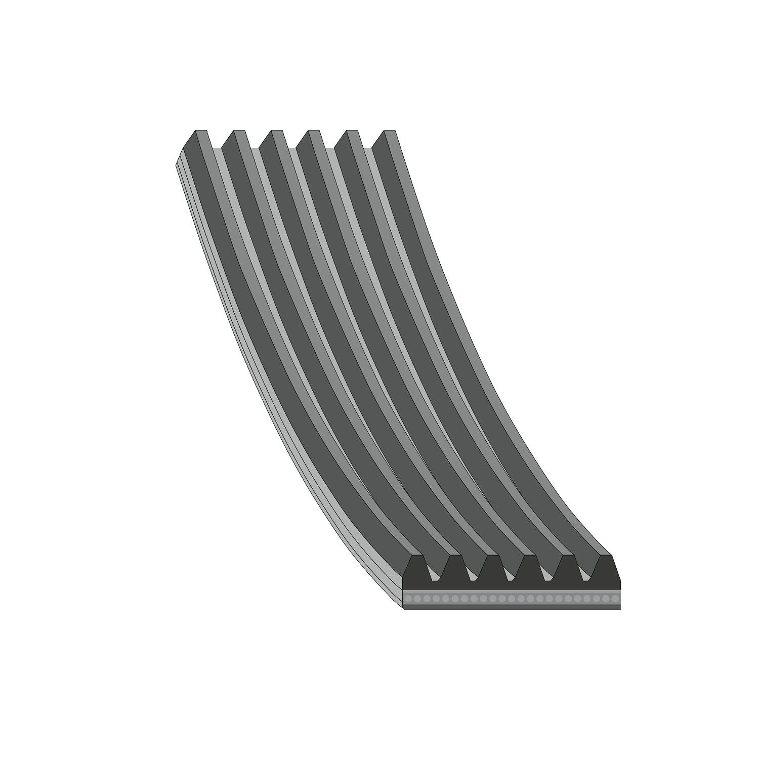 febi bilstein 28950 Keilrippenriemen , Rippenanzahl 6 , 1 Stück, Schwarz febi bilstein 28950 Keilrippenriemen , Rippenanzahl 6 , 1 Stück, Schwarz von febi bilstein