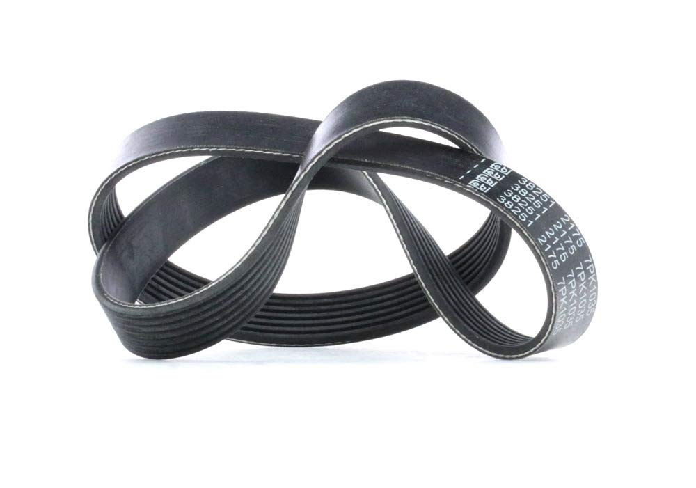 febi bilstein 38251 Keilrippenriemen , Rippenanzahl 7 , 1 Stück, Schwarz febi bilstein 38251 Keilrippenriemen , Rippenanzahl 7 , 1 Stück, Schwarz von febi bilstein