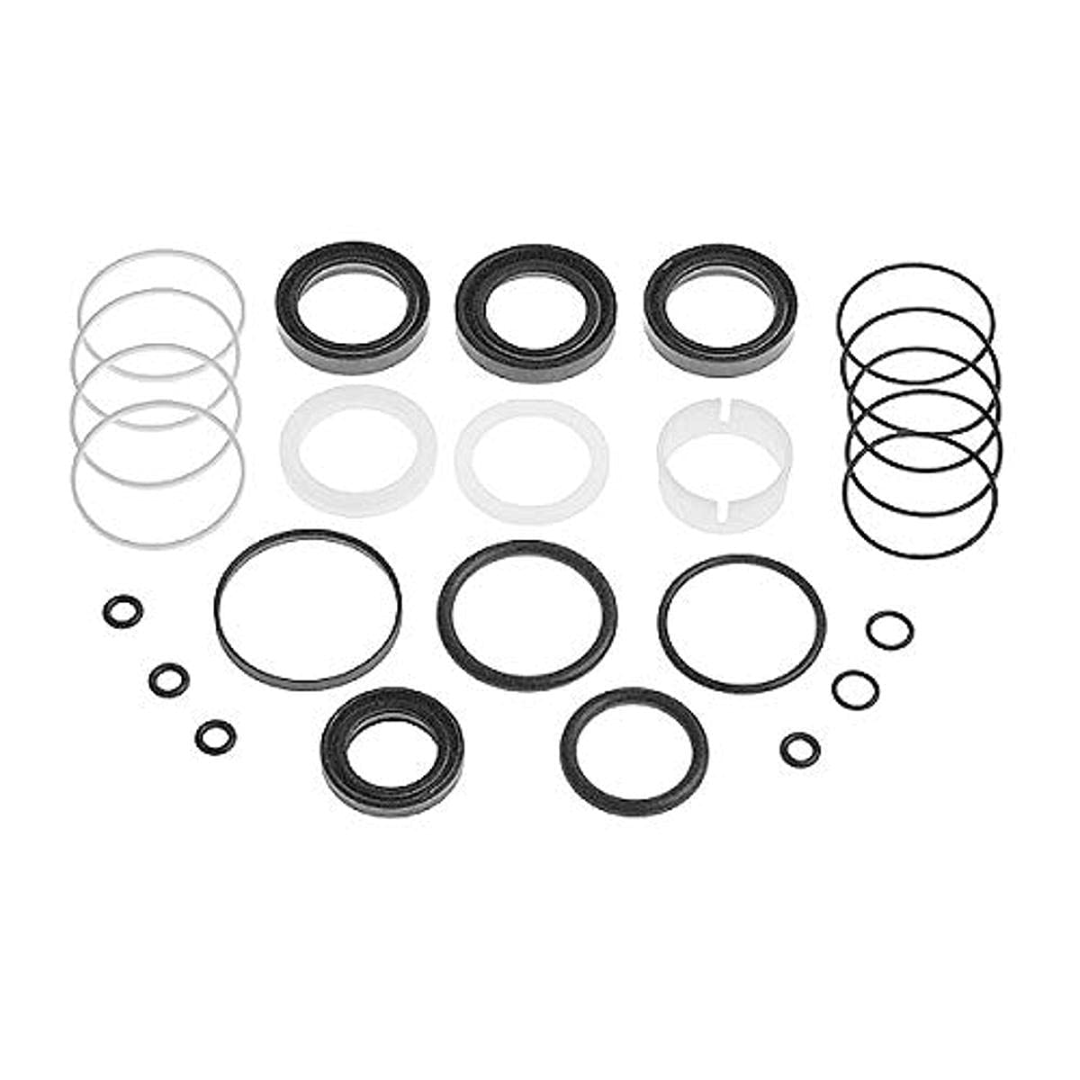 febi bilstein 12307 Dichtungssatz für Servolenkung , 1 Stück febi bilstein 12307 Dichtungssatz für Servolenkung , 1 Stück von febi bilstein