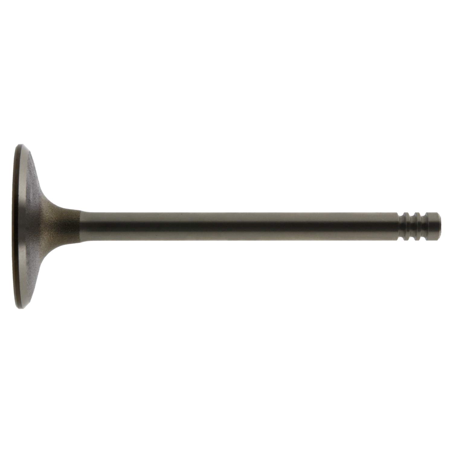 febi bilstein 12856 Einlassventil , 1 Stück febi bilstein 12856 Einlassventil , 1 Stück von febi bilstein