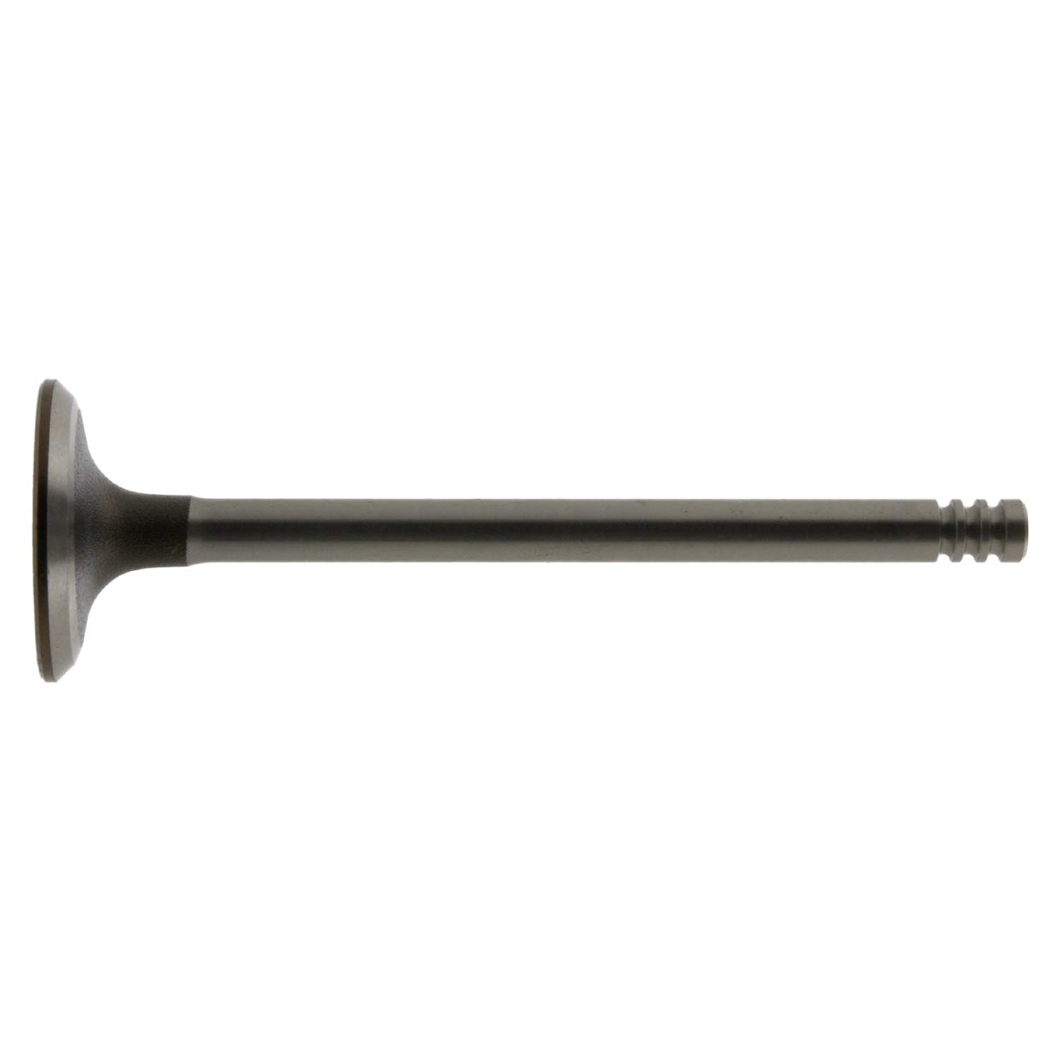 febi bilstein 12860 Einlassventil , 1 Stück febi bilstein 12860 Einlassventil , 1 Stück von febi bilstein