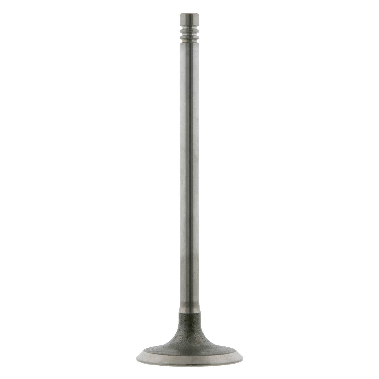 febi bilstein 24160 Einlassventil , 1 Stück febi bilstein 24160 Einlassventil , 1 Stück von febi bilstein