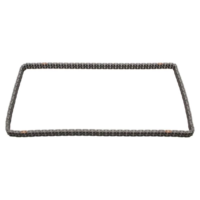 febi bilstein 25507 Steuerkette für Nockenwelle , 1 Stück von febi bilstein