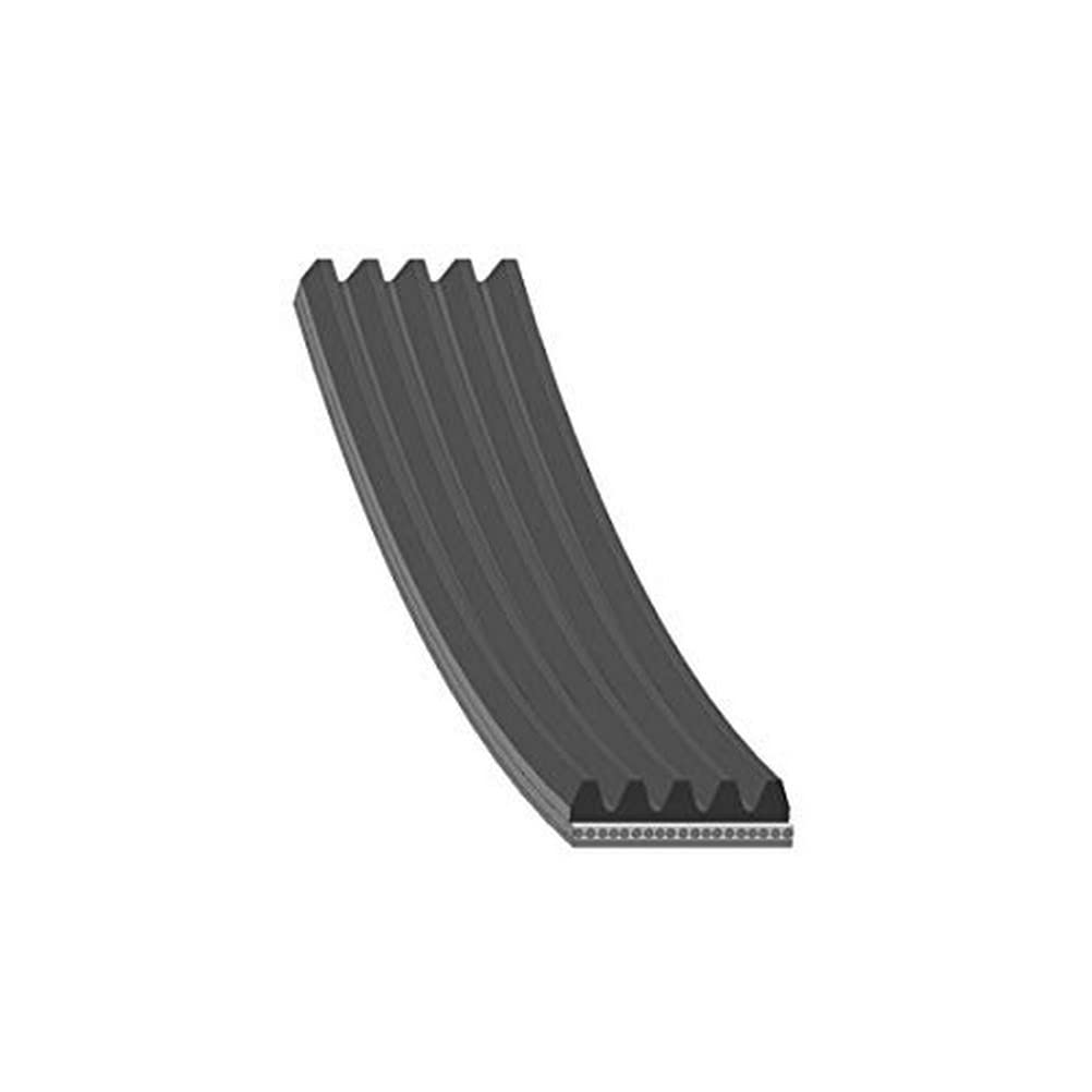 febi bilstein 28821 Keilrippenriemen , Rippenanzahl 5 , 1 Stück, schwarz febi bilstein 28821 Keilrippenriemen , Rippenanzahl 5 , 1 Stück, schwarz von febi bilstein
