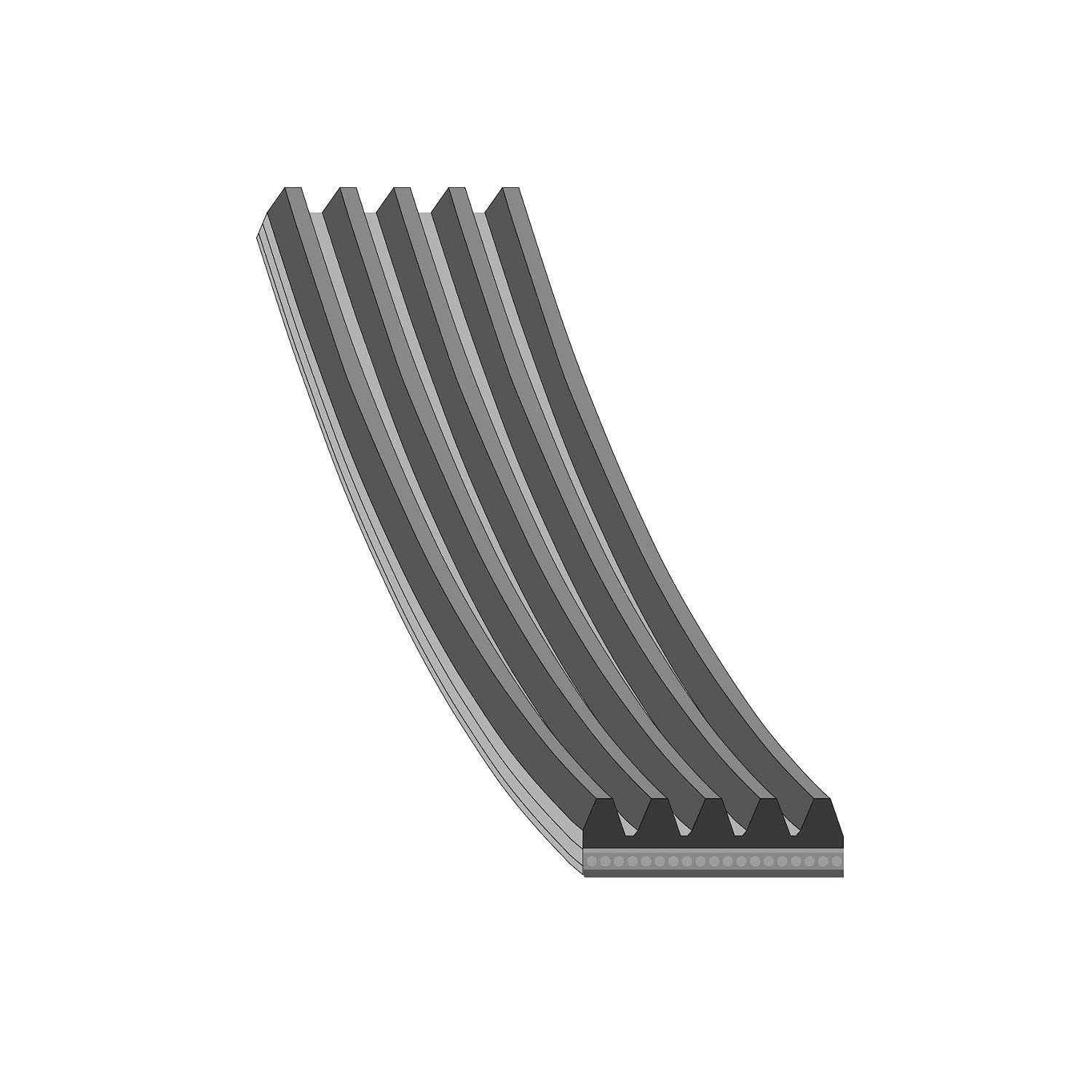 febi bilstein 28885 Keilrippenriemen , Rippenanzahl 5 , 1 Stück, grau febi bilstein 28885 Keilrippenriemen , Rippenanzahl 5 , 1 Stück, grau von febi bilstein