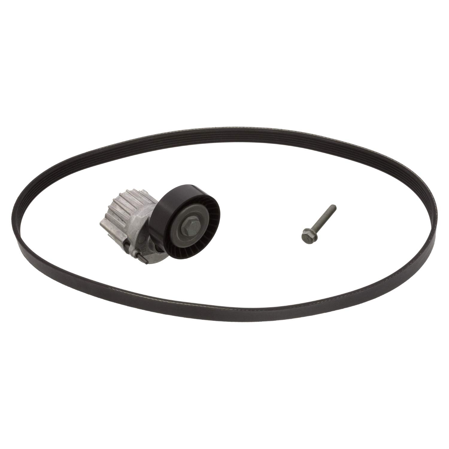 febi bilstein 40308 Keilrippenriemensatz mit Riemenspanner und Schraube 6 Rippenanzahl,, 1 Stück febi bilstein 40308 Keilrippenriemensatz mit Riemenspanner und Schraube 6 Rippenanzahl,, 1 Stück von febi bilstein