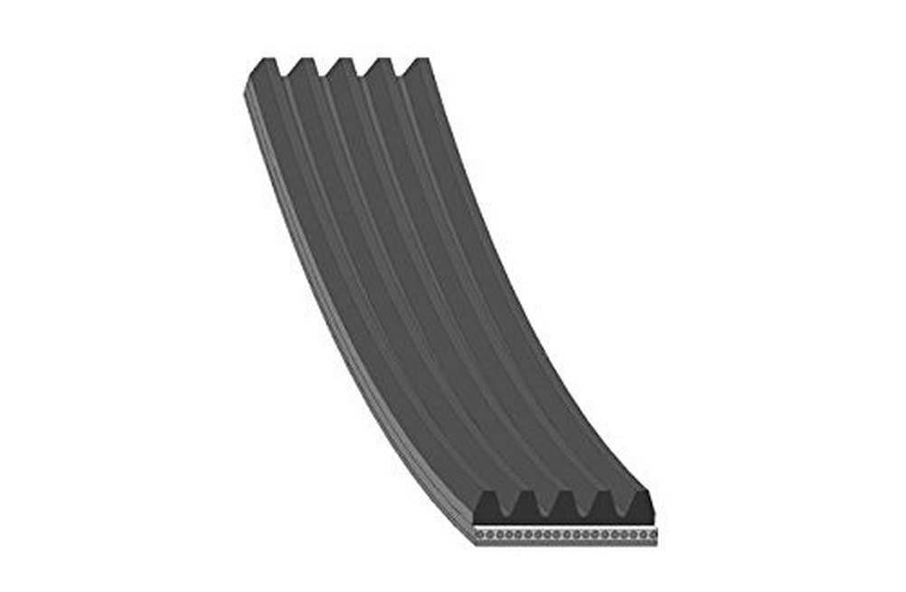 febi bilstein 40324 Keilrippenriemen , Rippenanzahl 5 , 1 Stück, schwarz febi bilstein 40324 Keilrippenriemen , Rippenanzahl 5 , 1 Stück, schwarz von febi bilstein