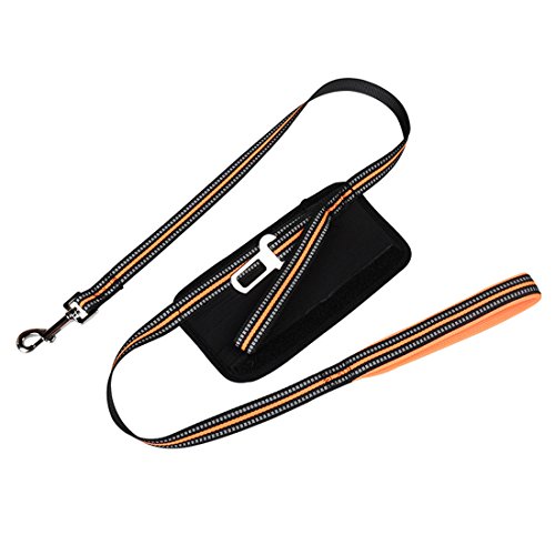 Mehrzweck Hundeleine Reflektierende Führleine aus Nylon Zwei Handschlaufe Basic Trainingsleine Dog Leash Autosicherheitsgurt Hunde Anschnall-Gurt für Kleine, Mittlere und Große Hunde (orange) von feiling