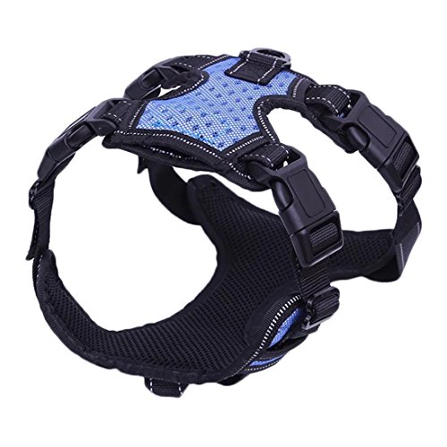 No-Pull Hundegeschirr Einstellbare Dauerhaft Vest Brustgeschirre Reflektierende Harness Hunde Geschirr Sicherheitsgeschirr Ausbruchsicher Laufgeschirre Atmungsaktiv für Mittlere und Große Hunde (L, blau) No-Pull Hundegeschirr Einstellbare Dauerhaft Vest Brustgeschirre Reflektierende Harness Hunde Geschirr Sicherheitsgeschirr Ausbruchsicher Laufgeschirre Atmungsaktiv für Mittlere und Große Hunde (L, blau) von feiling