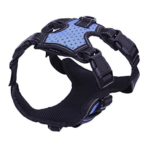 No-Pull Hundegeschirr Einstellbare Dauerhaft Vest Brustgeschirre Reflektierende Harness Hunde Geschirr Sicherheitsgeschirr Ausbruchsicher Laufgeschirre Atmungsaktiv für Mittlere und Große Hunde (L, blau) von feiling