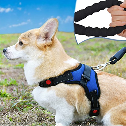 Welpengeschirr Hundegeschirr Größenverstellbar Gepolstert Brustgeschirre Harness Outdoor Vest Sicherheitsgeschirr mit Griff für Kleine, Mittelgroße Hunde Haustier mit Hundeleinen Retrieverleine Übungsleine Walking Leine (XL, blau) von feiling