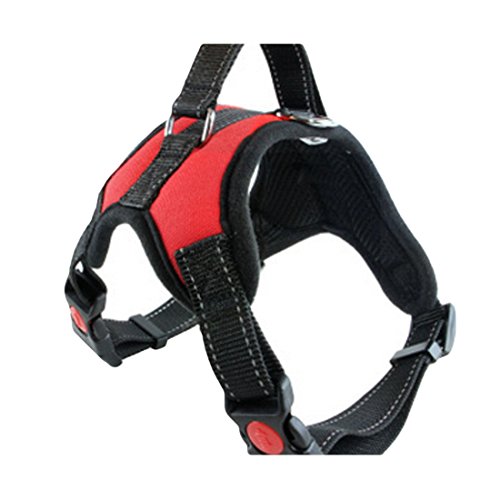 Welpengeschirr Hundegeschirr Größenverstellbar Gepolstert Brustgeschirre Harness Outdoor Vest Sicherheitsgeschirr mit Griff für Kleine, Mittelgroße Hunde Haustier mit Hundeleinen Retrieverleine Übungsleine Walking Leine (M, rot) von feiling