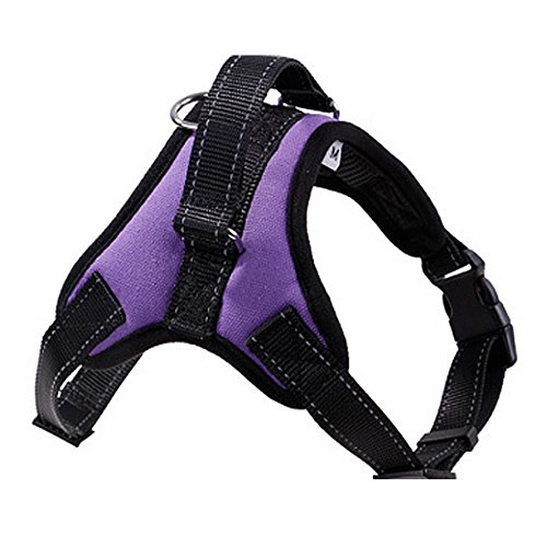Welpengeschirr Hundegeschirr Größenverstellbar Gepolstert Brustgeschirre Harness Outdoor Vest Sicherheitsgeschirr mit Griff für Kleine, Mittelgroße Hunde Haustier mit Hundeleinen Retrieverleine Übungsleine Walking Leine (L, lila) Welpengeschirr Hundegeschirr Größenverstellbar Gepolstert Brustgeschirre Harness Outdoor Vest Sicherheitsgeschirr mit Griff für Kleine, Mittelgroße Hunde Haustier mit Hundeleinen Retrieverleine Übungsleine Walking Leine (L, lila) von feiling