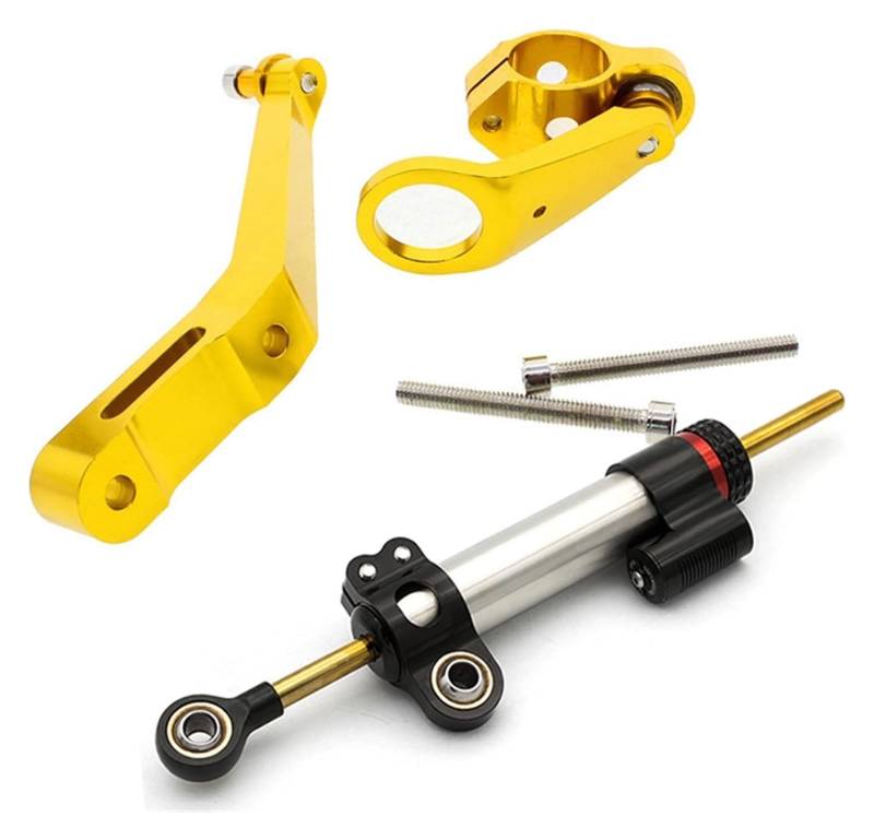 Für CBR954RR 2002 2003 Motorrad Fiber Carbon Lenkung Stabilisieren Dämpfer Montage Halterung Kit Motorrad Lenkungsdämpfer(702) von gangxiao