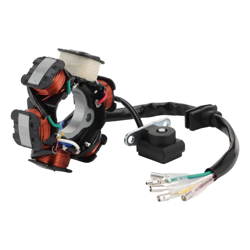 STATOOK Zündung Stator Magneto 5 Wire AC 6 Pole Spule Kompatibel mit Gy6 50cc 70cc 90cc 125cc 150cc Scooter Moped Go Kart ATV 4 Wheeler Dirt Pit Bike von generic
