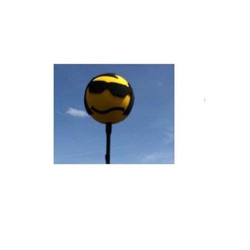hotrodspirit Antenna Ball Elvis Presley Dekoschaum-Antenne für Auto von hotrodspirit
