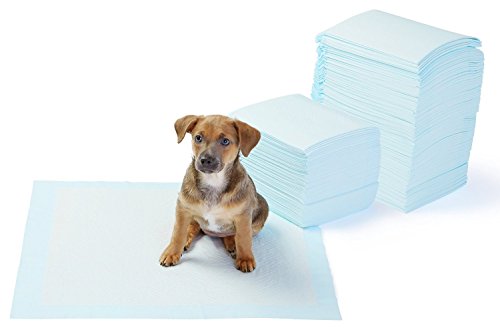 itplus Pet Hund daipers Katze WC Training Pads Innen NUGI Welpen Pads Einweg Unterlagen Saugen Flüssigkeiten itplus Pet Hund daipers Katze WC Training Pads Innen NUGI Welpen Pads Einweg Unterlagen Saugen Flüssigkeiten von itPlus