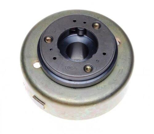 Lichtmaschinenrotor Polrad CHOPER 250 4T LIFAN LF250-4 Fly wheel rotor von ItalyRacing