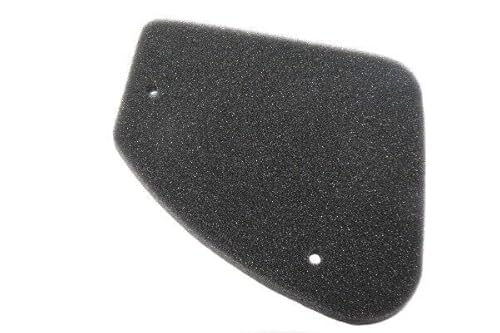 Luftfilter PEUGEOT Buxy Elyseo Elystar Looxor Ludix Speedake Speedfight 50, von ItalyRacing
