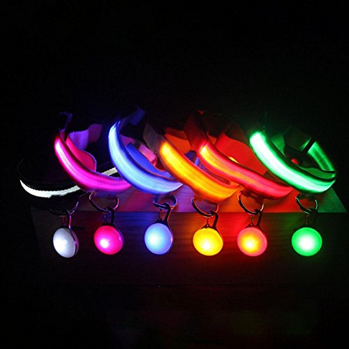 juxinuk 1PC Pet LED leuchtende Lichter Hals Ring Anti-verlorene Sicherheit Anhänger glühenden Haustier Anhänger (M, Rot) von juxinuk