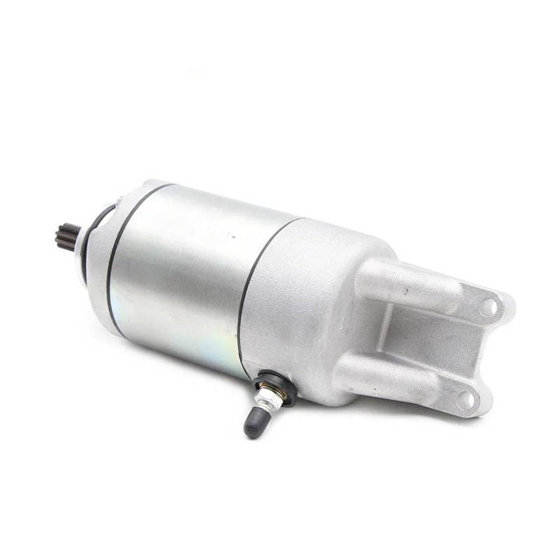 Anlasser Motor 31100-46E00 31100-17E00 Für Suzuki Für RF600 RF600R RF900 RF900R GSXR750 GSX-R750W GSXR1100 GSX-R1100W Motorrad Elektrische Starter Motor Startermotor von kjjukrhfs