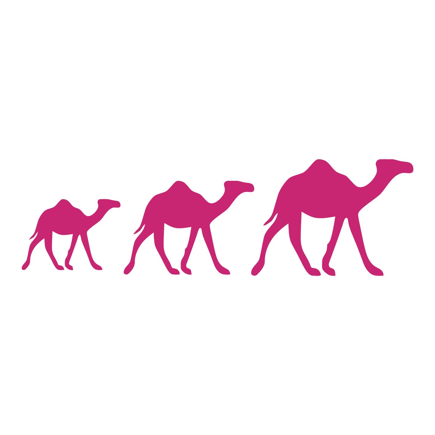 kleb-Drauf | 1 Kamelkarawane | Pink - glänzend | Autoaufkleber Autosticker Decal Aufkleber Sticker | Auto Car Motorrad Fahrrad Roller Bike | Deko Tuning Stickerbomb Styling Wrapping kleb-Drauf | 1 Kamelkarawane | Pink - glänzend | Autoaufkleber Autosticker Decal Aufkleber Sticker | Auto Car Motorrad Fahrrad Roller Bike | Deko Tuning Stickerbomb Styling Wrapping von kleb-drauf.de