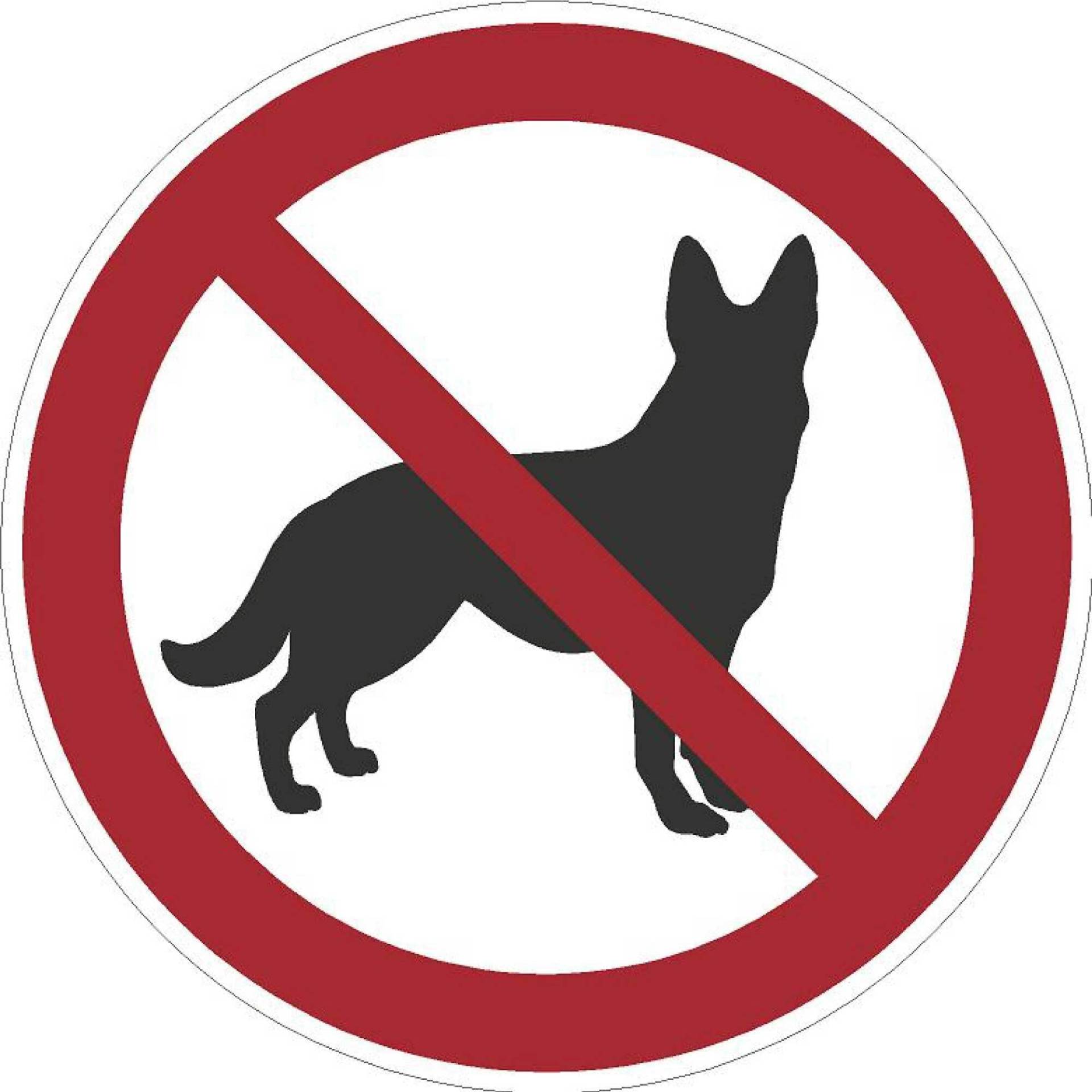 kleberio® Selbstklebende Aufkleber - Hunde verboten - Piktogramm Aufkleber Tiere Nicht erlaubt für Hunde Zugang verboten Hinweis für Sicherheit und Sauberkeit 5 cm 10 Stück von kleberio