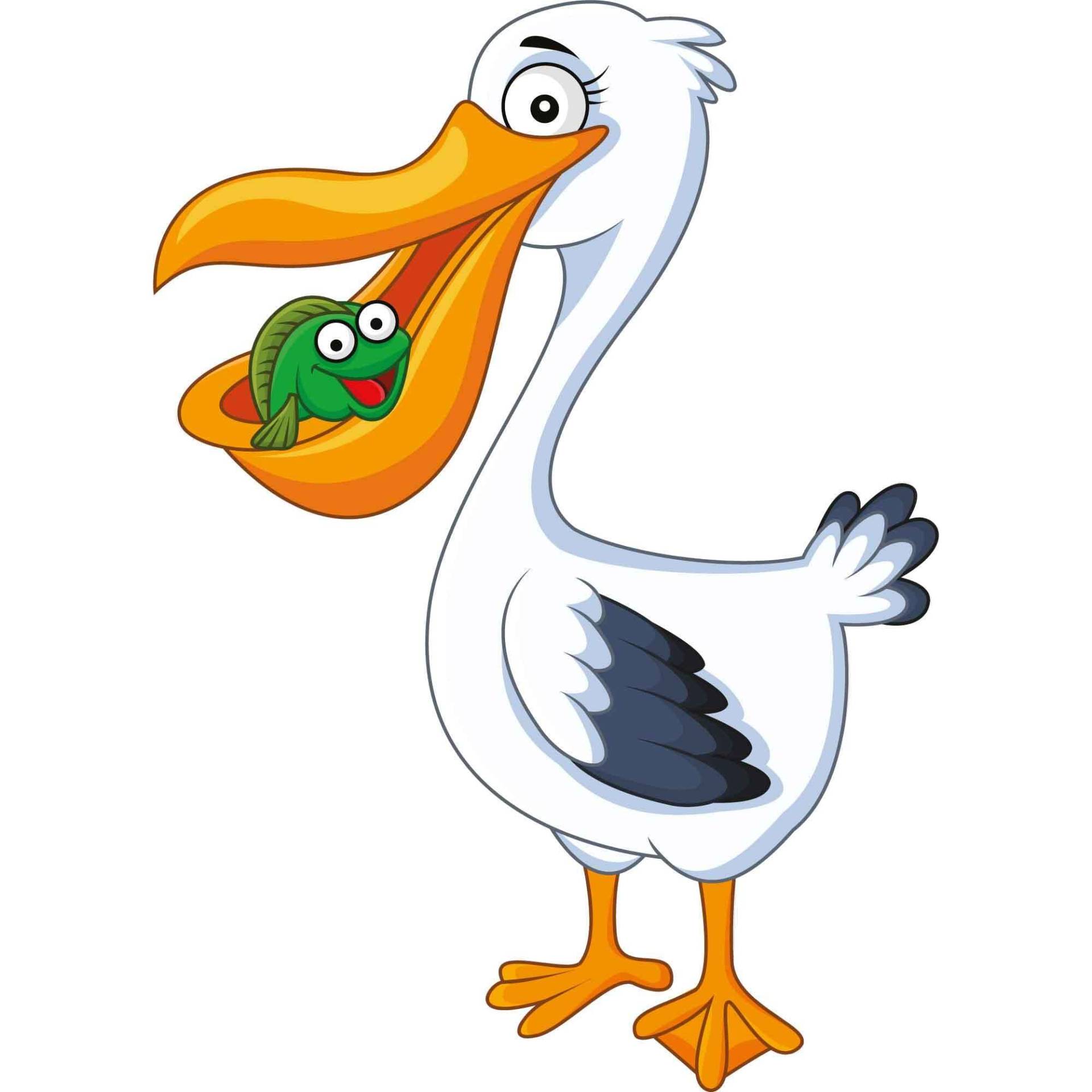 kleberio Aufkleber Pelikan wasserfest Sticker Familie Vogel lächeln Tier See Schnabel Deko Autoaufkleber 24 x 17 cm kleberio Aufkleber Pelikan wasserfest Sticker Familie Vogel lächeln Tier See Schnabel Deko Autoaufkleber 24 x 17 cm von kleberio