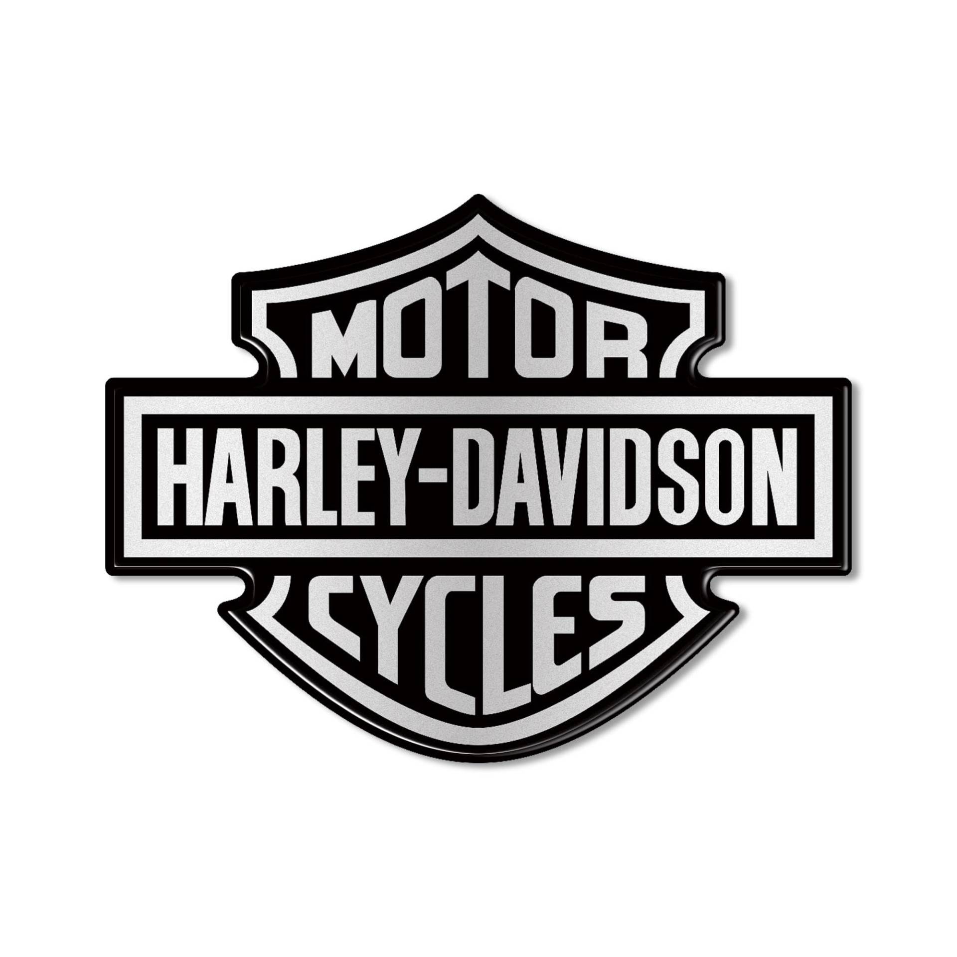 labelbike - 3D Resin Aufkleber Emblem Logo für Motorradtank kompatibel mit Harley Davidson - misst 9,5x7 cm von LABELBIKE