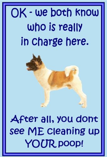 Akita – Neuheit Hund Kühlschrank Magnete – viele Designs erhältlich von magnetsandhangers