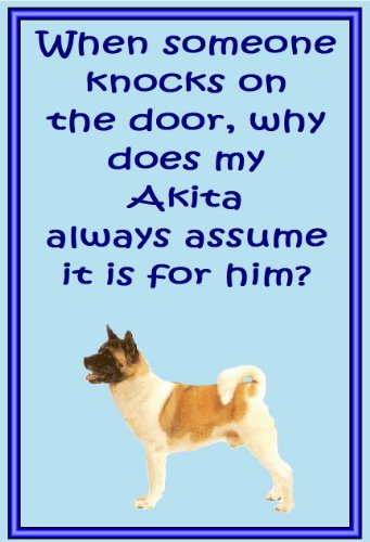 Akita – Neuheit Hund Kühlschrank Magnete – viele Designs erhältlich Akita – Neuheit Hund Kühlschrank Magnete – viele Designs erhältlich von magnetsandhangers