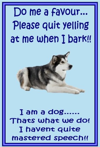 Alaskan Malamute – Neuheit Hund Kühlschrank Magnete – viele Designs erhältlich Alaskan Malamute – Neuheit Hund Kühlschrank Magnete – viele Designs erhältlich von magnetsandhangers