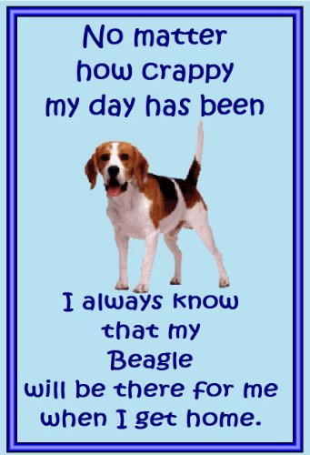 Beagle Neuheit Kühlschrank Magnete – viele verschiedene Designs verfügbar Beagle Neuheit Kühlschrank Magnete – viele verschiedene Designs verfügbar von magnetsandhangers