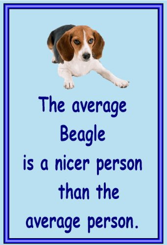 Beagle Neuheit Kühlschrank Magnete – viele verschiedene Designs verfügbar von magnetsandhangers