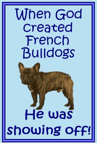 Französische Bulldogge – Neuheit Hund Kühlschrank Magnete – viele Designs erhältlich von magnetsandhangers